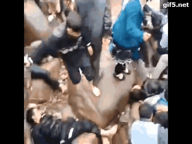 4.gif